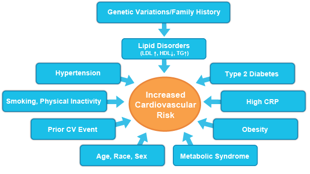 Cardiovascular Disease Risk Paper Editing Services diagram of hiv infection 