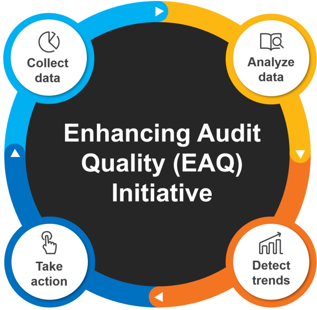 What does an auditor do picture